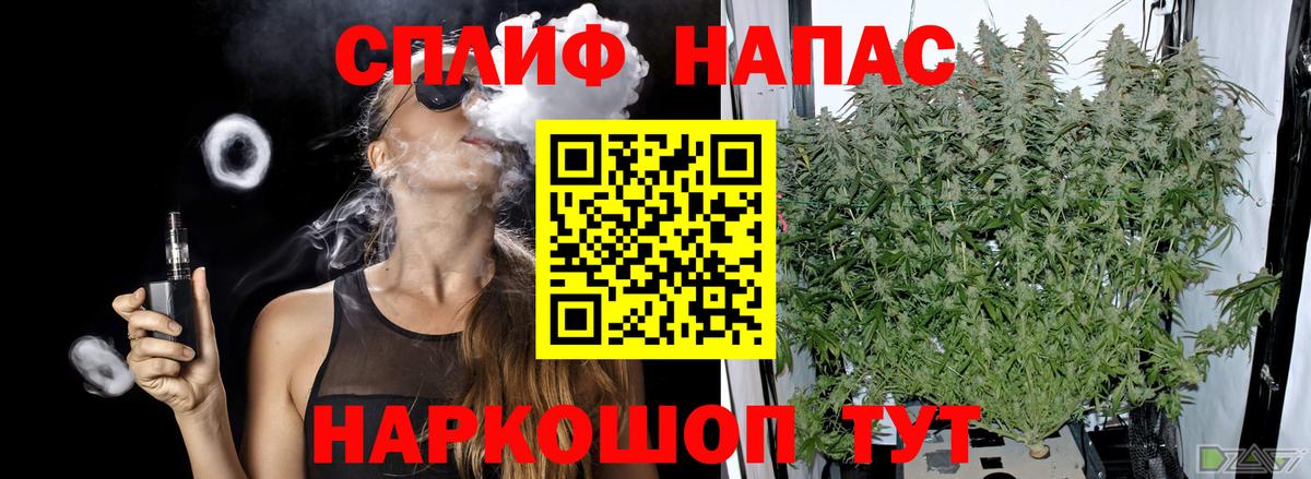 Бошки Шишки ГИДРОПОН Таганрог